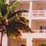 First Detail of Hyatt Regency Cerromar First Detail of Hyatt Regency Cerromar